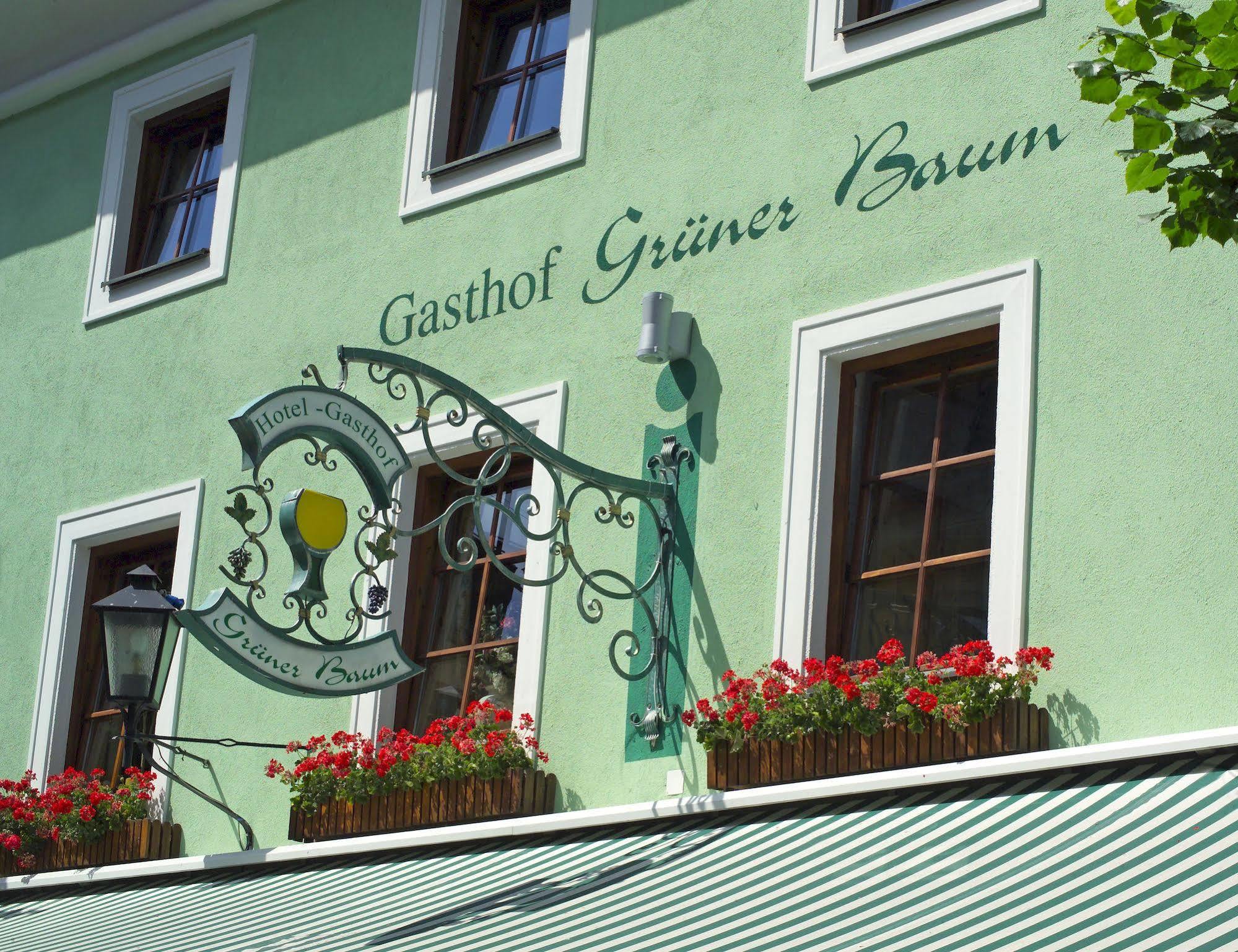 Hotel Gruner Baum Zell am See Zewnętrze zdjęcie